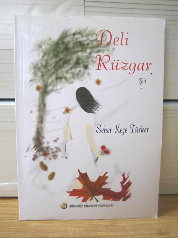 Deli Rüzgar - Seher Keçe Türker