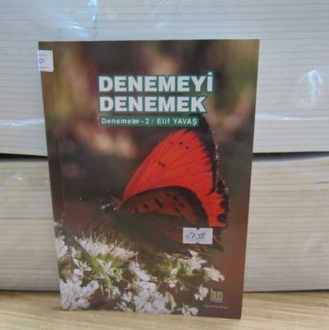 Denemeyi Denemek