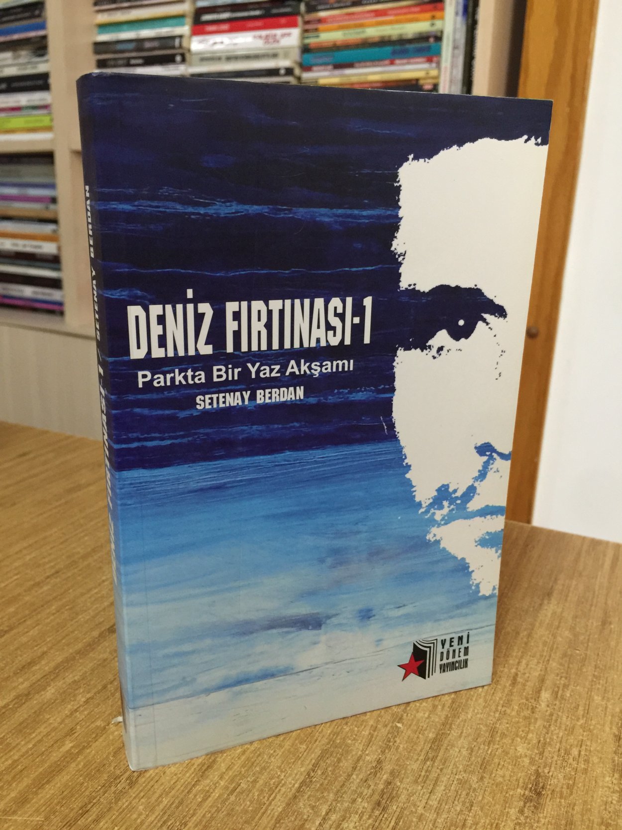 Deniz Fırtınası 1 Parkta Bir Yaz Akşamı - Setenay Berdan
