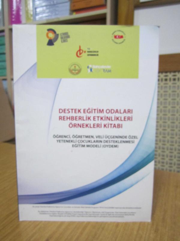 Destek Eğitim Odaları Rehberlik Etkinlikleri Örnekleri Kitabı OYDEM