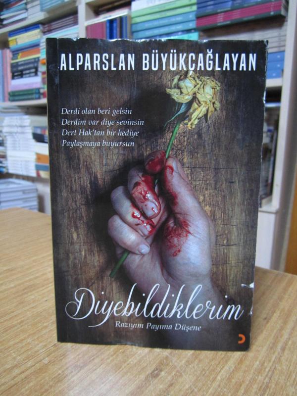 Diyebildiklerim - Alparslan Büyükçağlayan