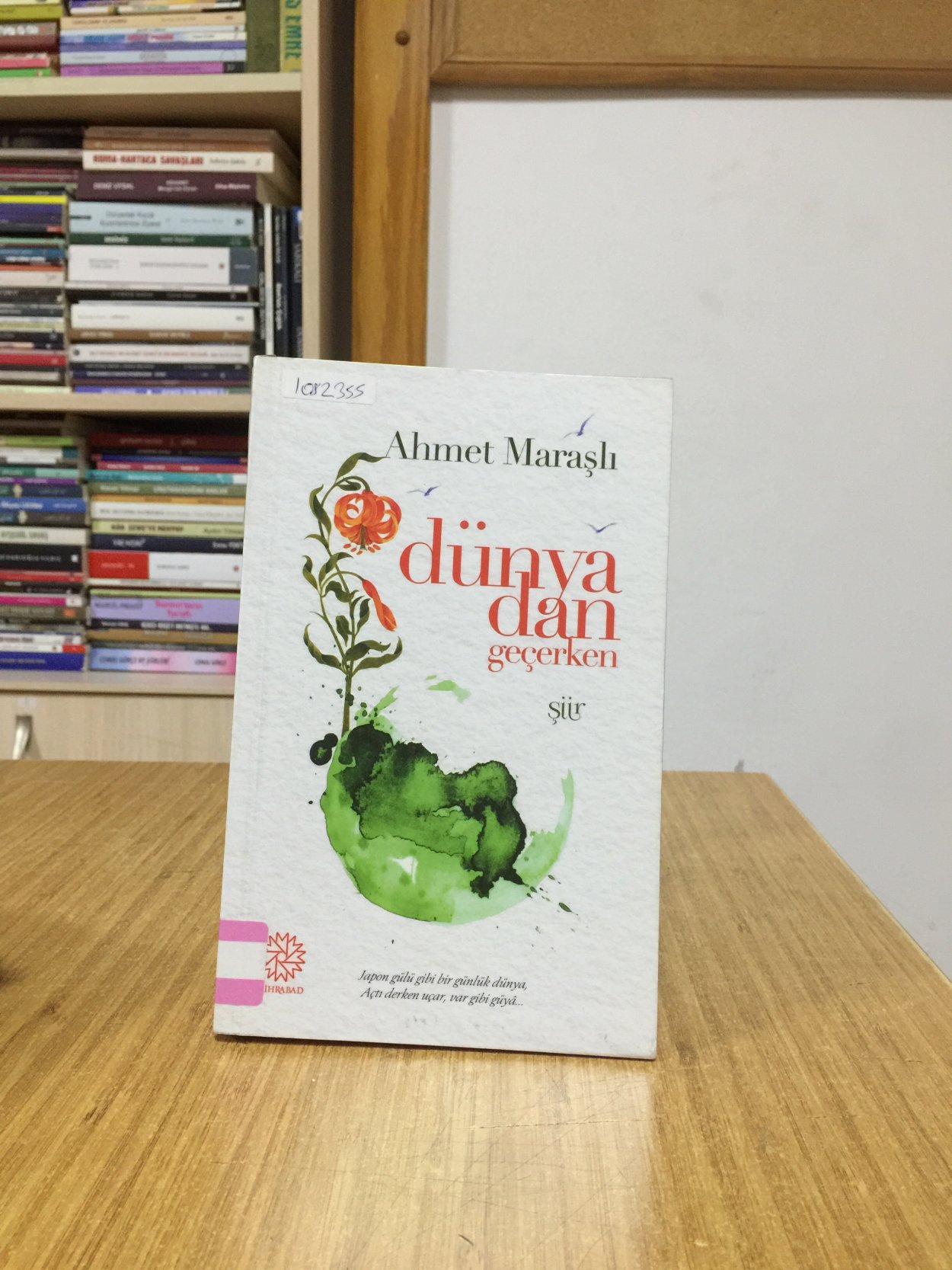 Dünyadan Geçerken - Ahmet Maraşlı