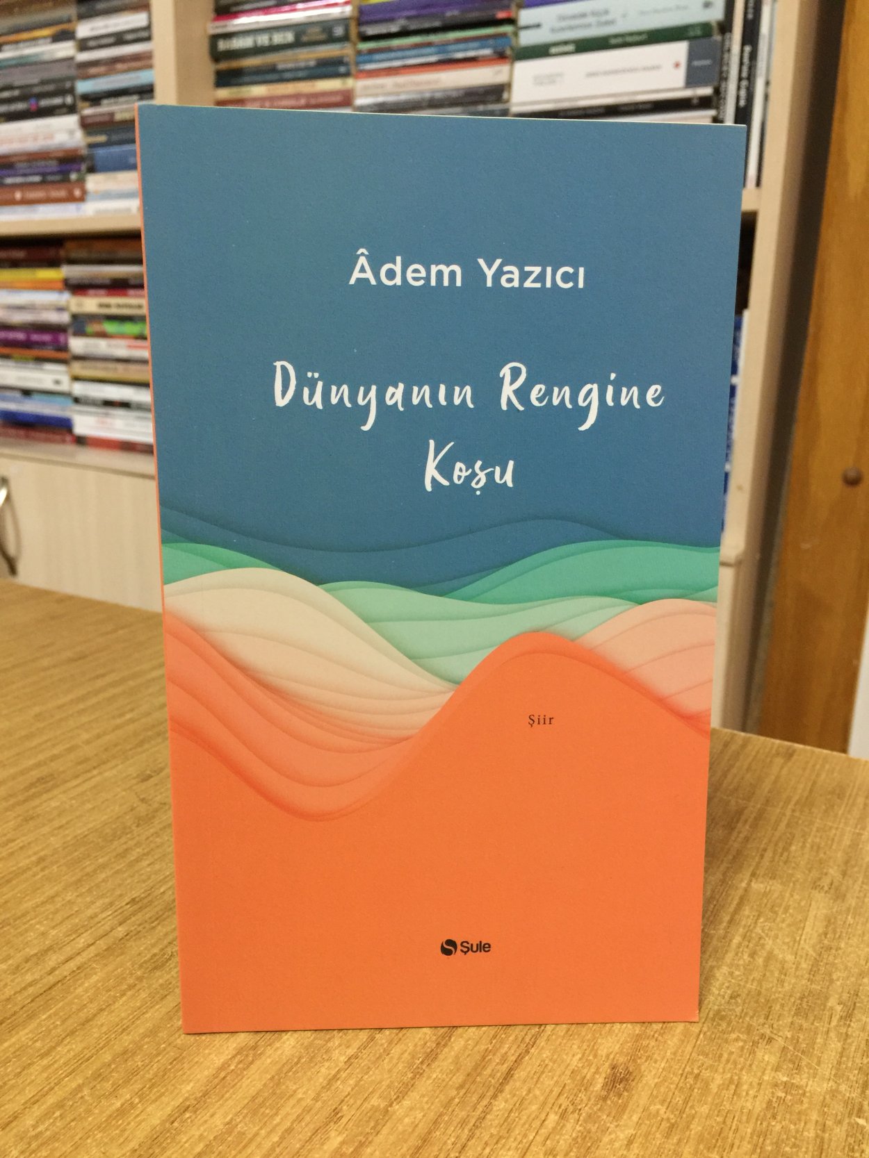 Dünyanın Rengine Koşu - Adem Yazıcı