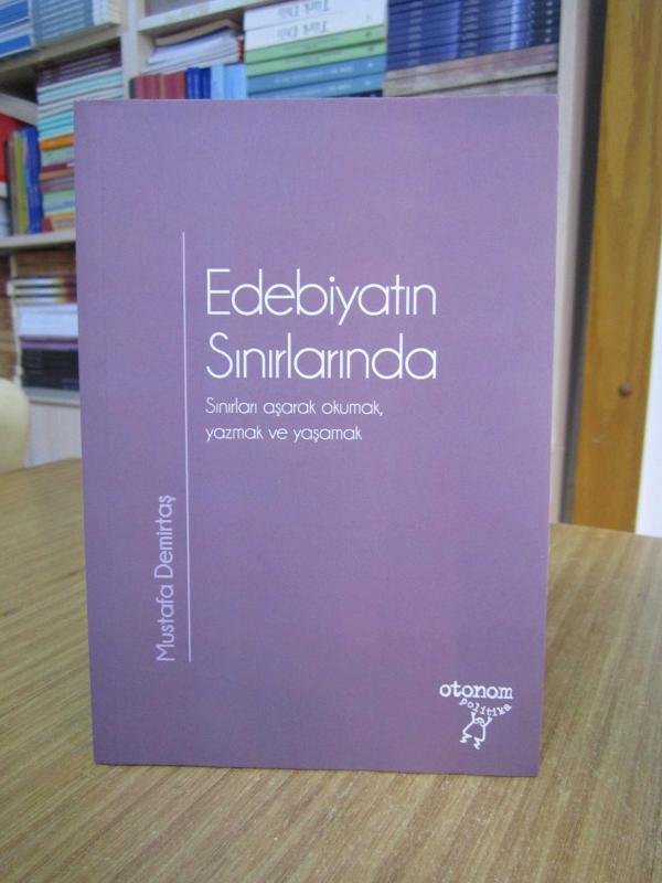 Edebiyatın Sınırlarında - Mustafa Demirtaş