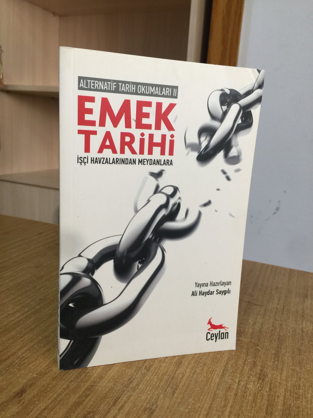 EMEK TARİHİ İşçi Havzalarından Meydanlara / Alternatif Tarih Okumaları 2 ---