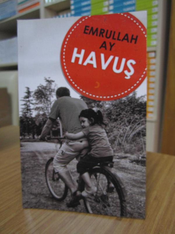 Emrullah Ay - Havuş