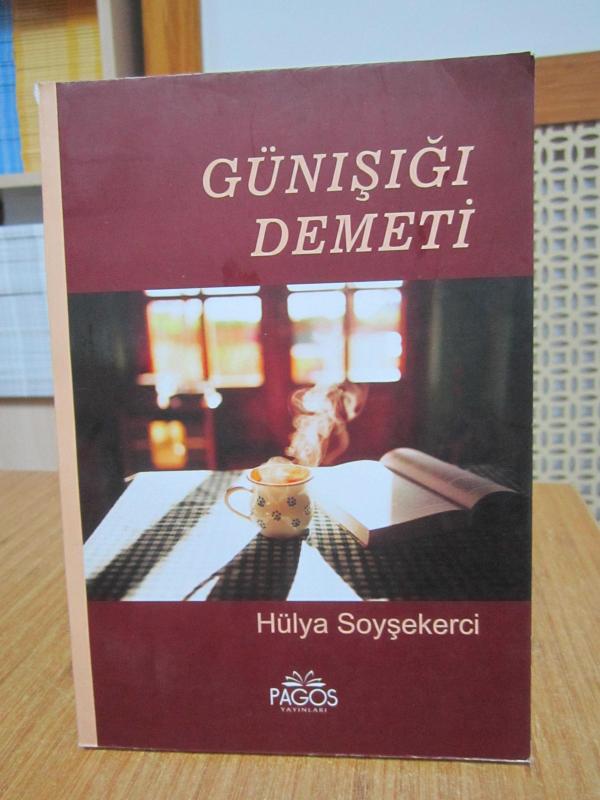 Esenler'de Sürdürülebilir Yerleşim / Esenler Şehir Düşünce Merkezi