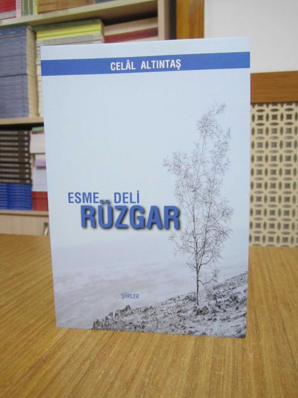 Esme Deli Rüzgar - Celal Altıntaş