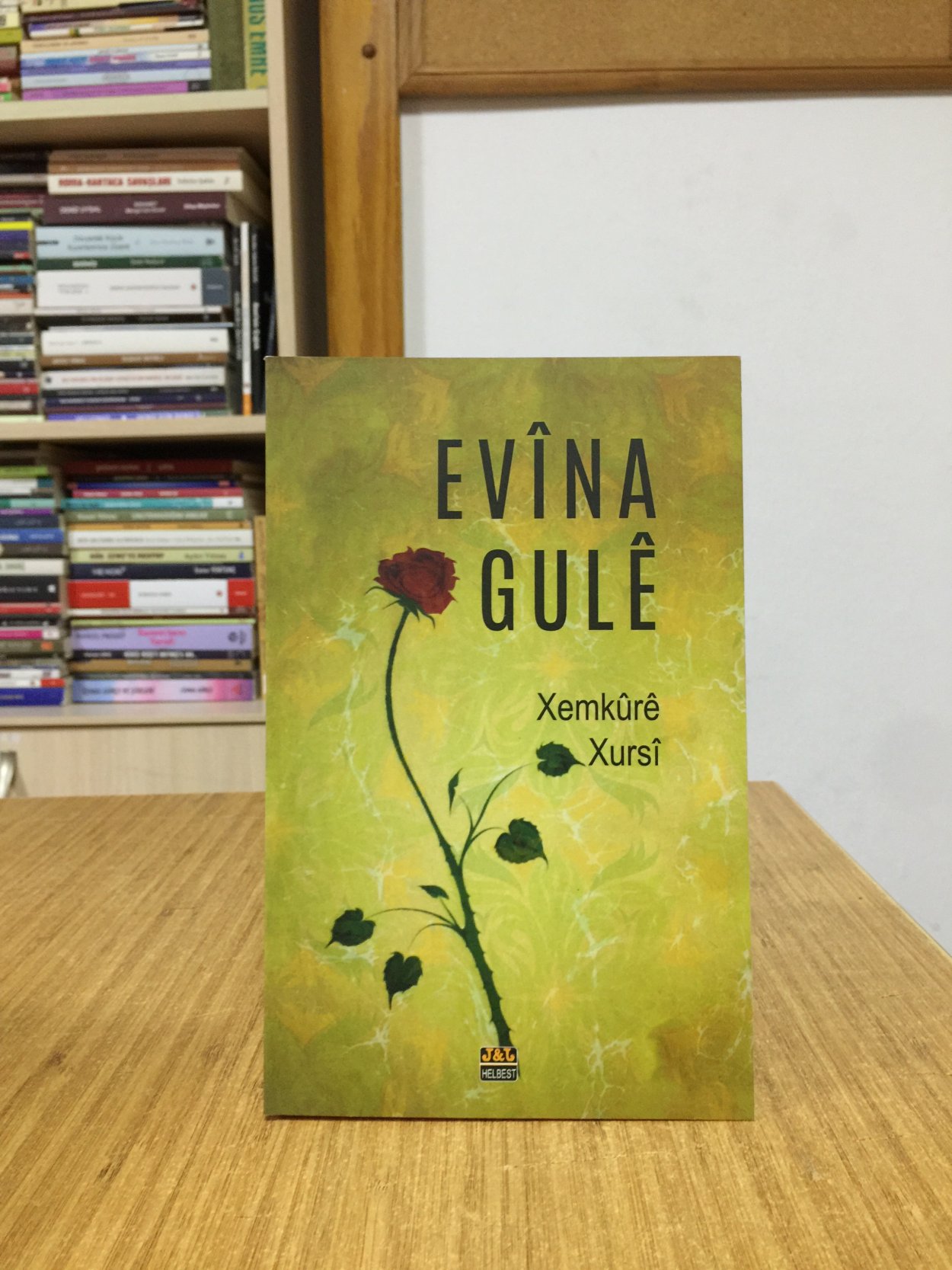 Evîna Gulê - Xemkûrê Xursî