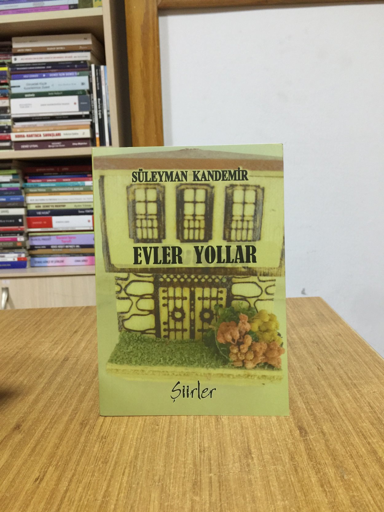 Evler Yollar - Süleyman Kandemir