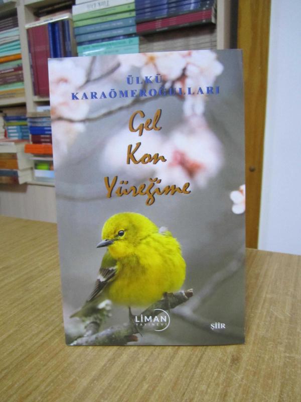 Gel Kon Yüreğime - Ülkü Karaömeroğulları