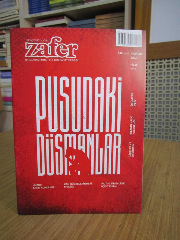 Gerçeğe Doğru Zafer Bilim Araştırma Kültür Sanat Dergisi - Haziran 2022