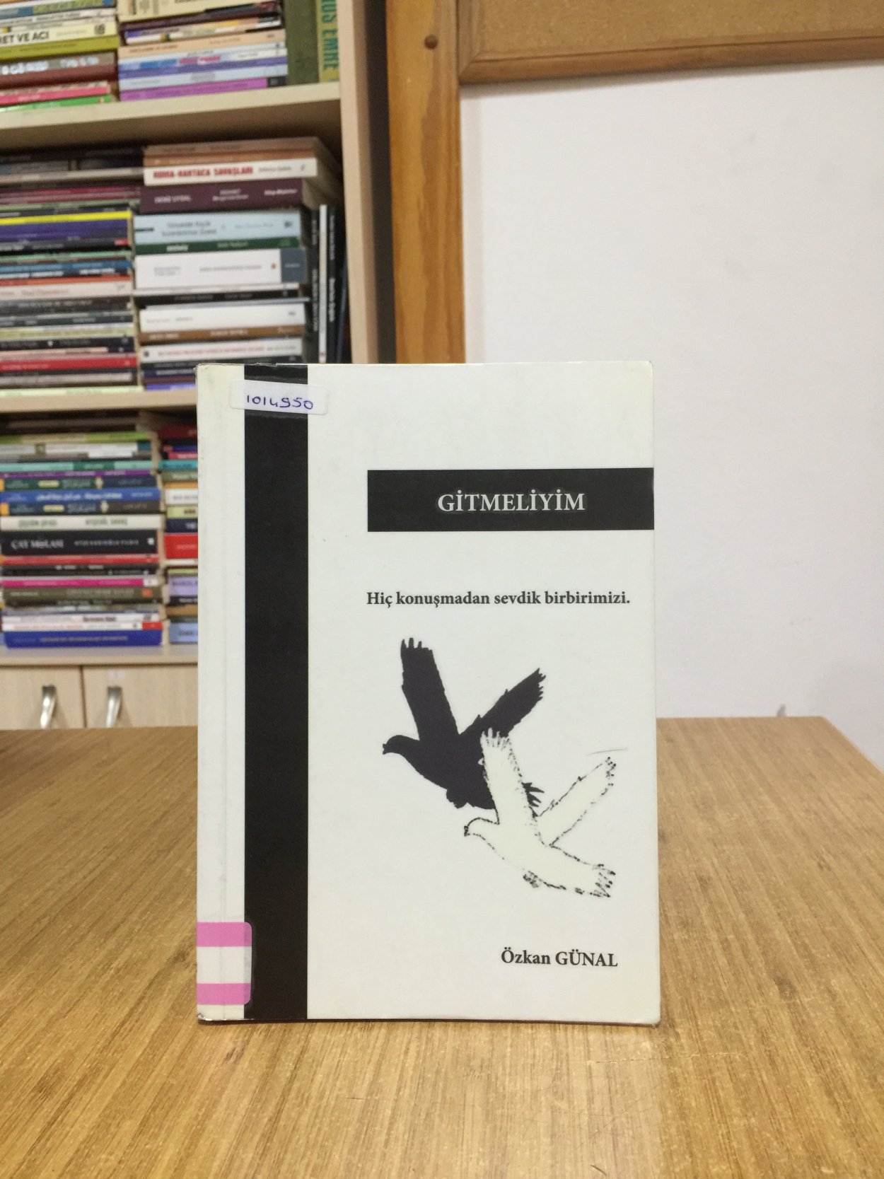 Gitmeliyim - Özkan Günal