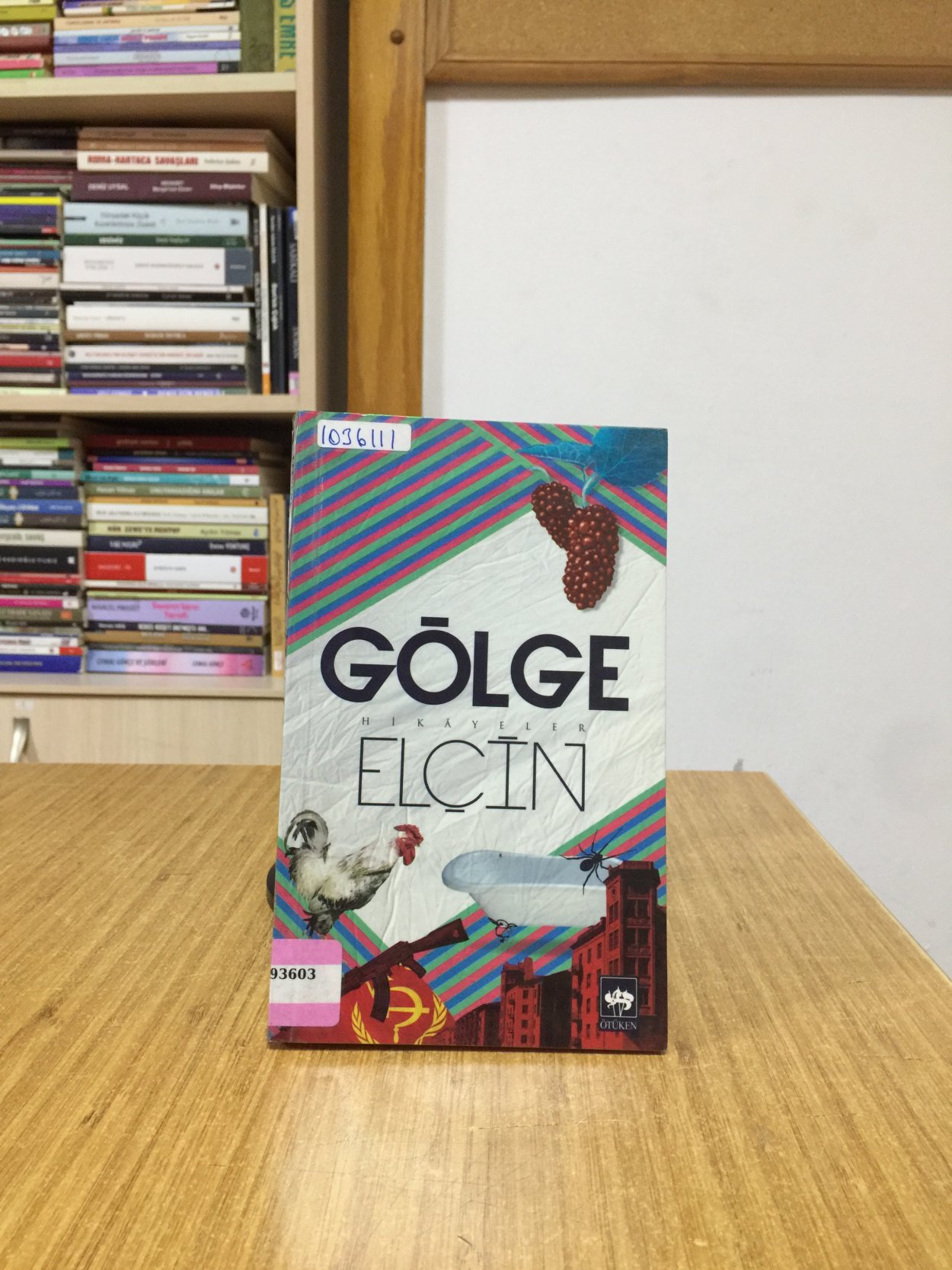 Gölge - Elçin