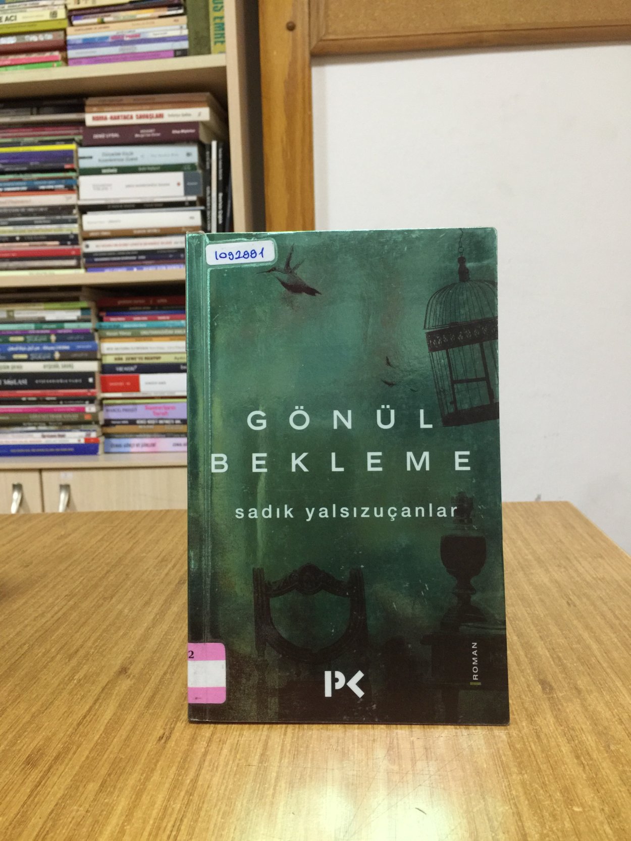 Gönül Bekleme - Sadık Yalsızuçanlar