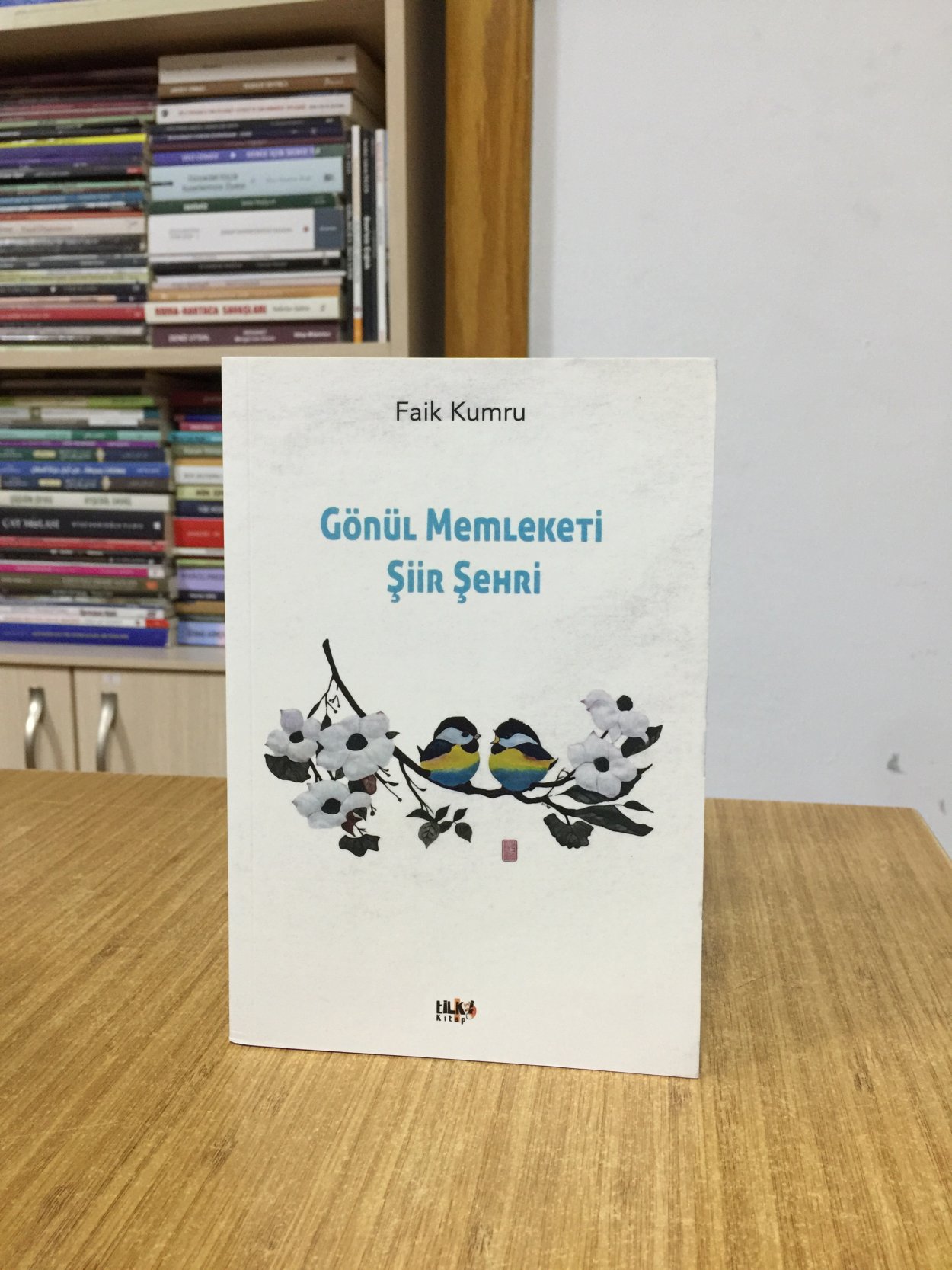 Gönül Memleketi Şiir Şehri - Faik Kumru