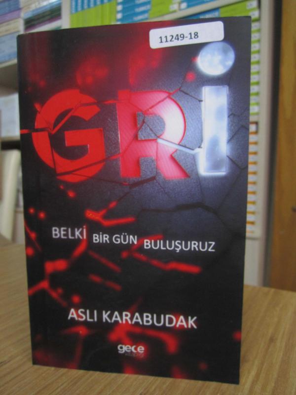 Gri Belki Bir gün Buluşuruz- Aslı Karabudak