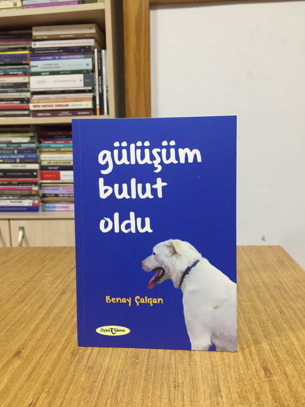 Gülüşüm Bulut Oldu - Benay Çalışan