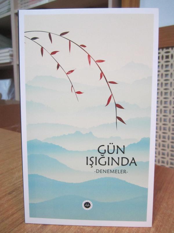 Gün Işığında Denemeler - Diyanet İşleri Başkanlığı Yayınları [2.Baskı]