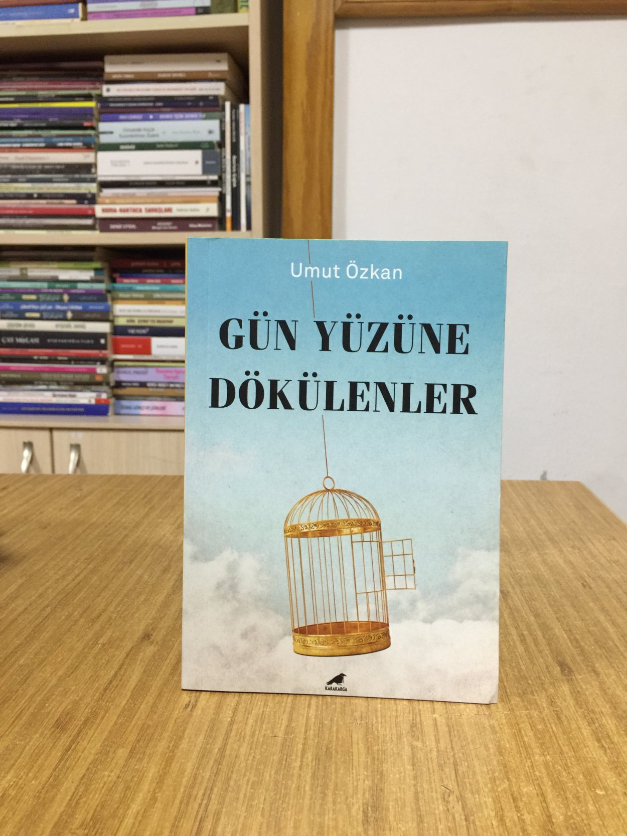 Gün Yüzüne Dökülenler - Umur Özkan
