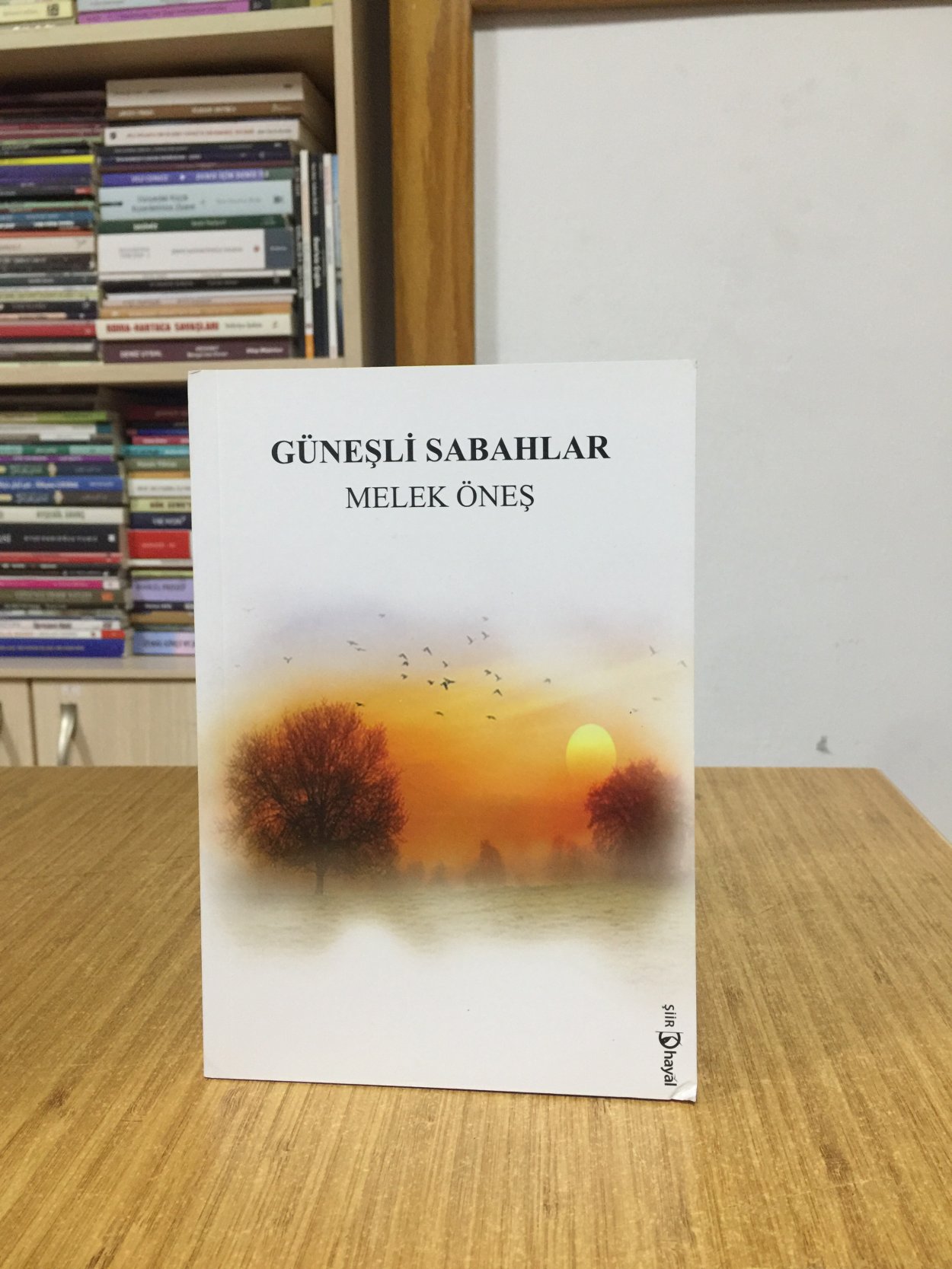 Güneşli Sabahlar - Melek Öneş