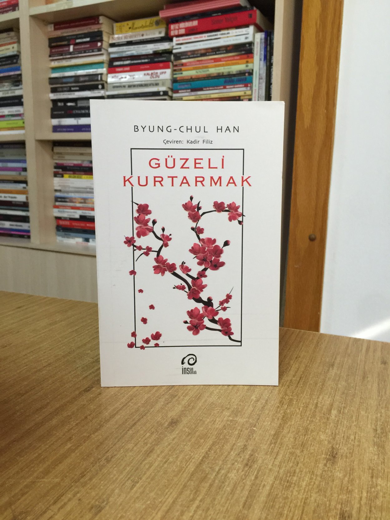 Güzeli Kurtarmak - Byung Chul Han