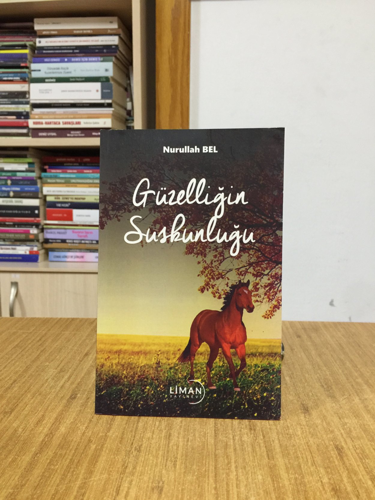 Güzelliğin Suskunluğu - Nurullah Bel