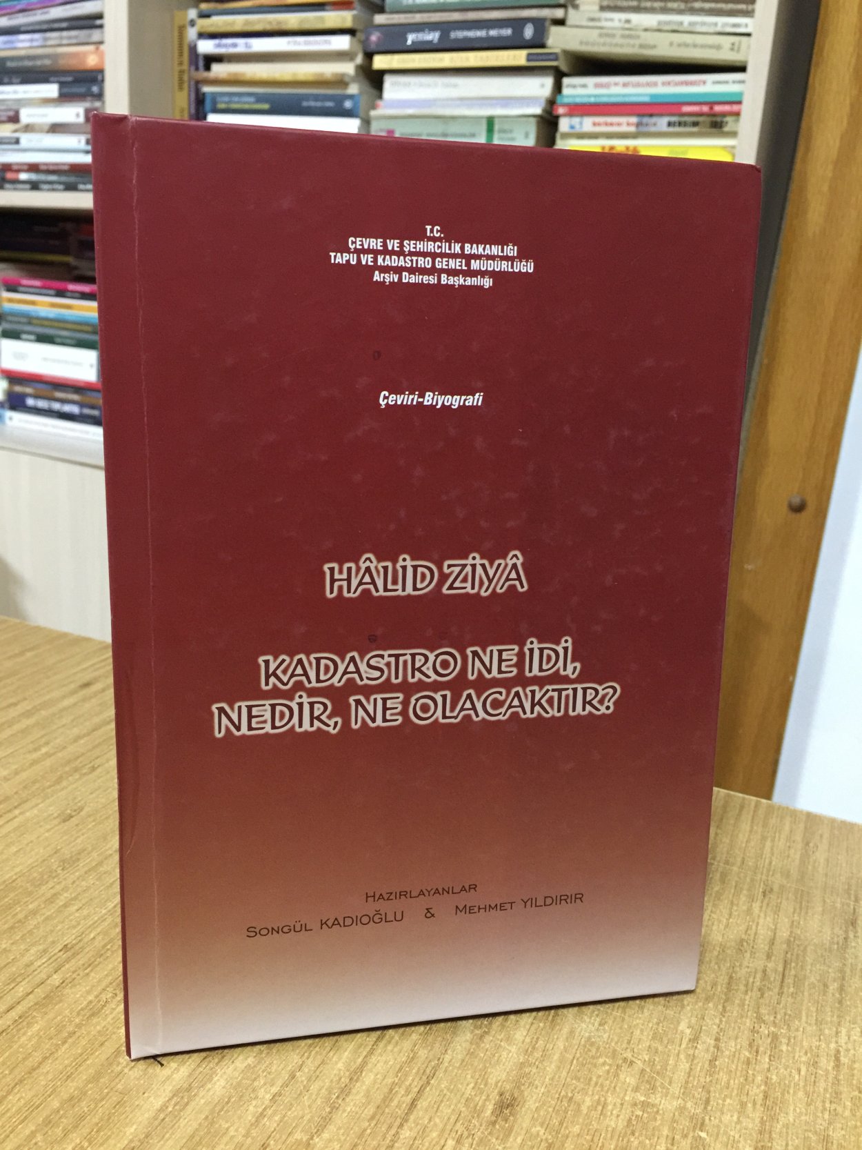 Halid Ziya Kadastro Ne İdi Nedir Ne Olacaktır? [Ciltli]