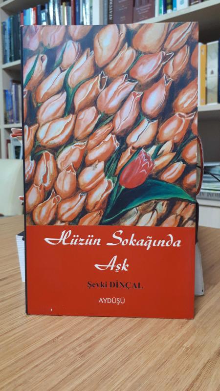 Hüzün Sokağında Aşk
