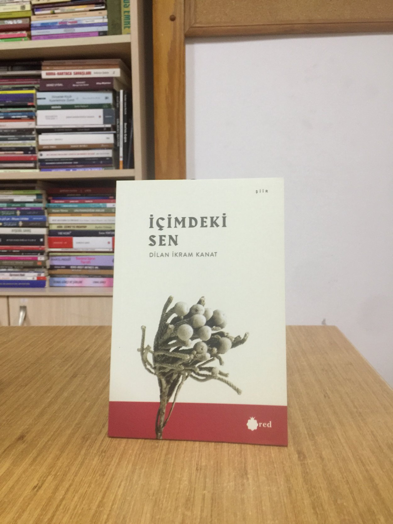 İçimdeki Sen - Dilan İkram Kanat