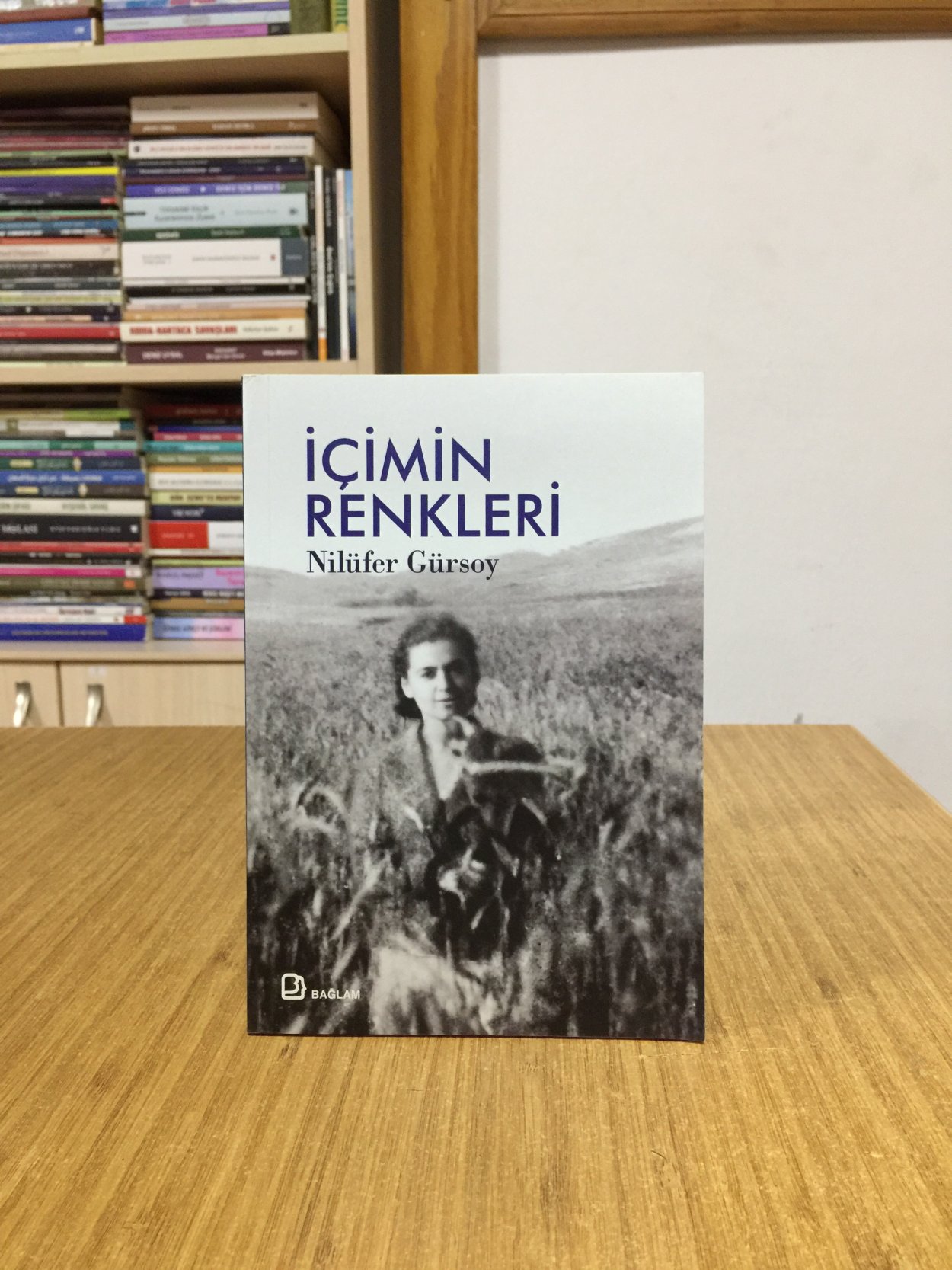 İçimin Renkleri - Nilüfer Gürsoy