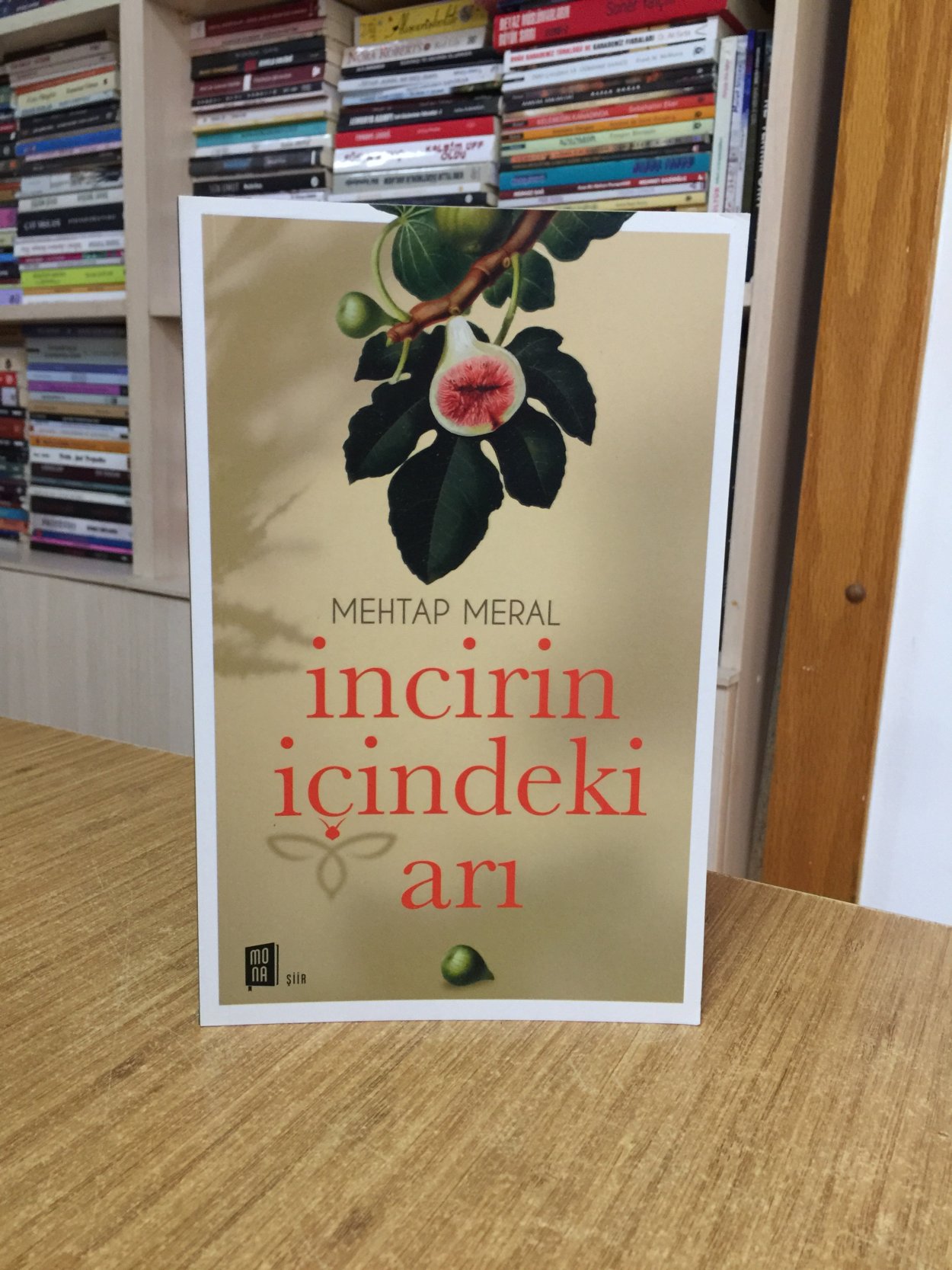 İncirin İçindeki Arı - Mehtap Meral