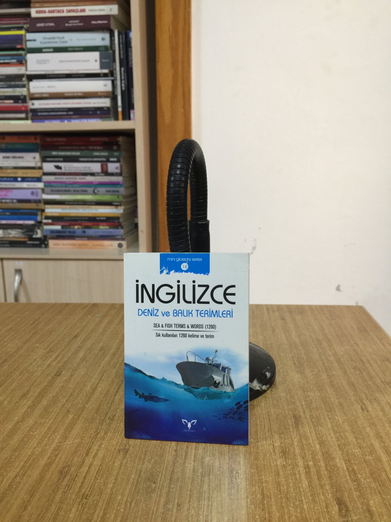 İngilizce Deniz ve Balık Terimleri/mini glossary series No:18