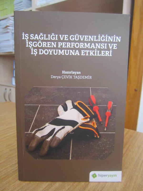 İş Sağlığı ve Güvenliğinin İşgören Performansı ve İş Doyumuna Etkileri