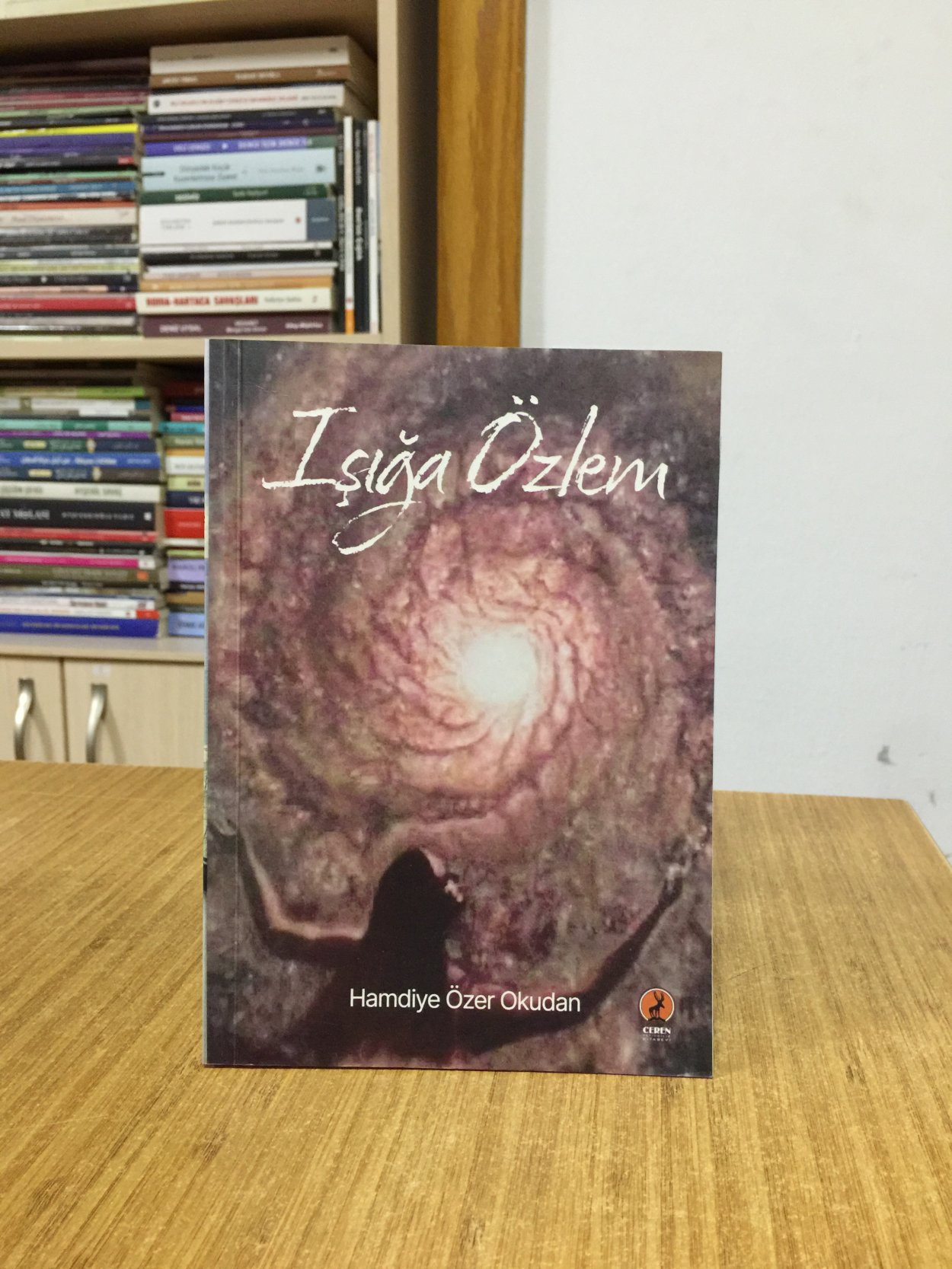Işığa Özlem - Hamdiye Özer Okudan