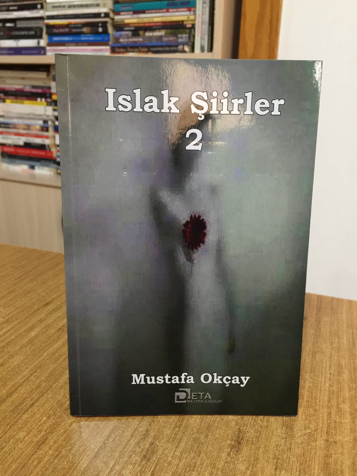 Islak Şiirler 2 - Mustafa Okçay