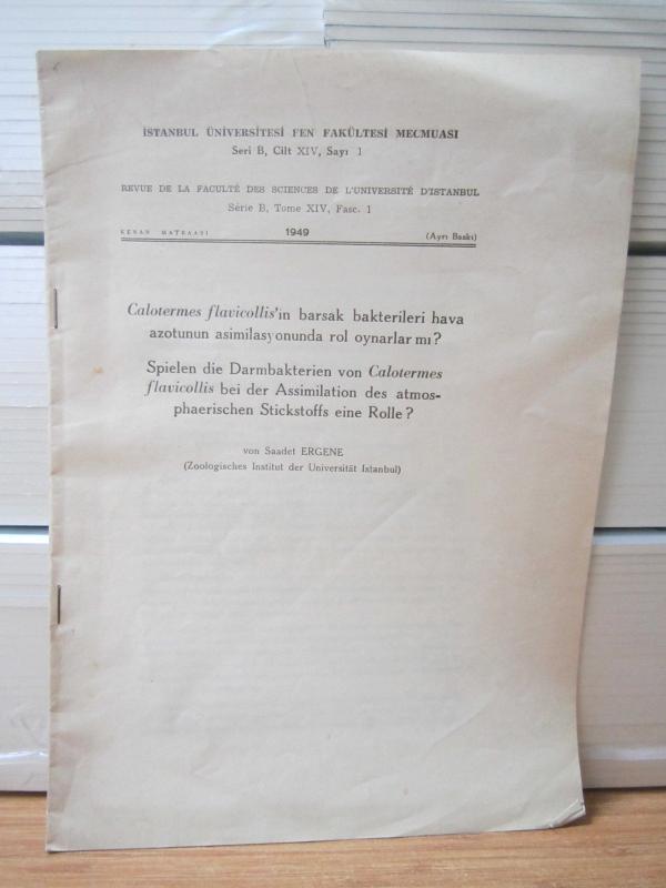 İstanbul Üniversitesi Fen Fakültesi Mecmuası - Cilt 14 Sayı 1 - Seri B - 1949 (Ayrı Baskı) - Saadet Ergene