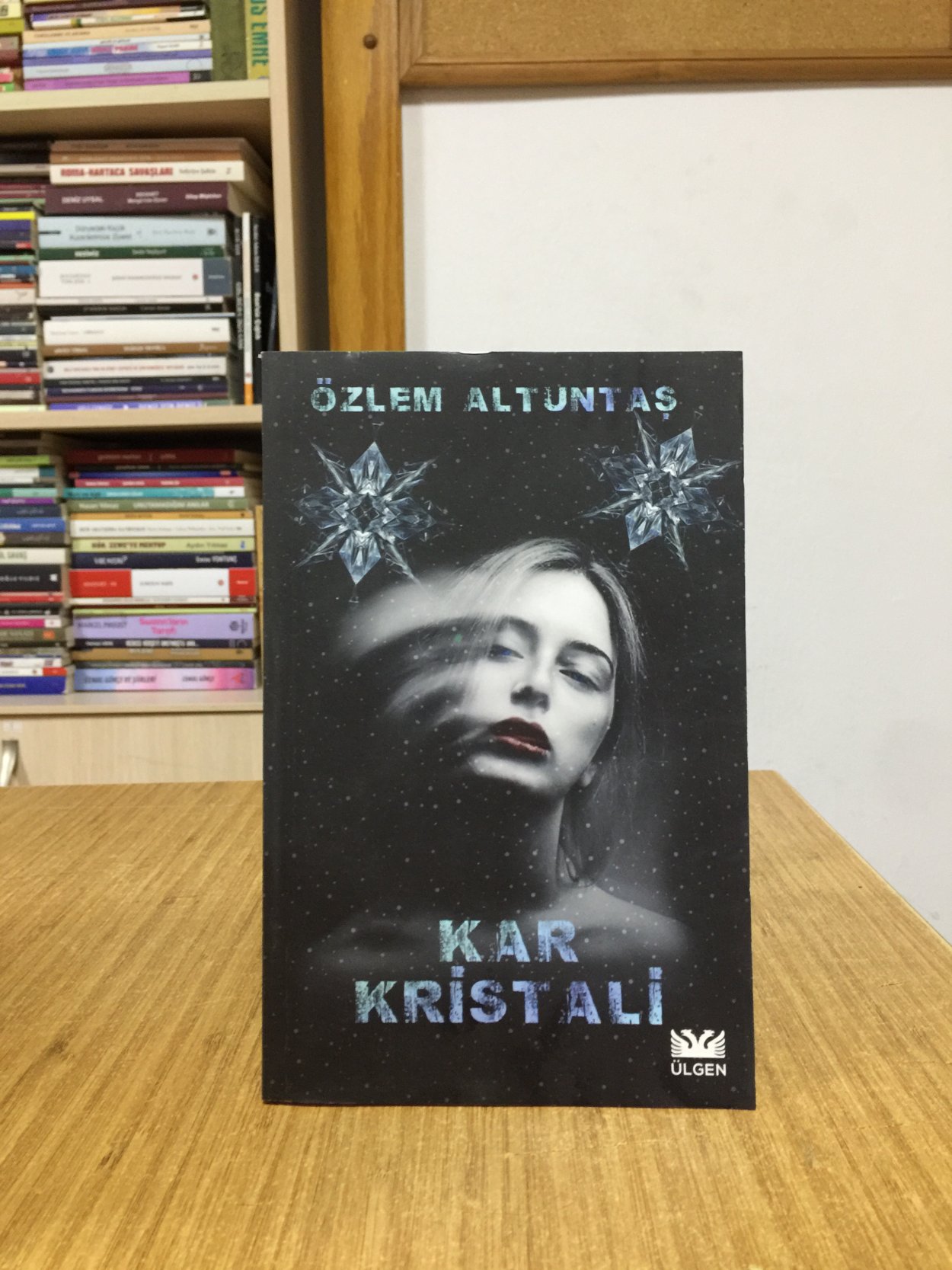 Kar Kristali - Özlem Altuntaş