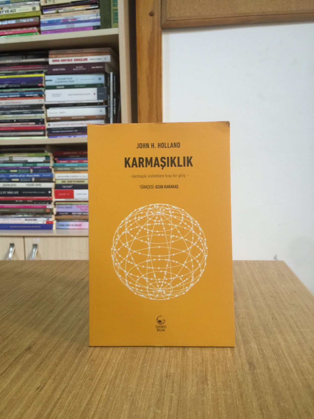 Karmaşıklık - John H. Holland
