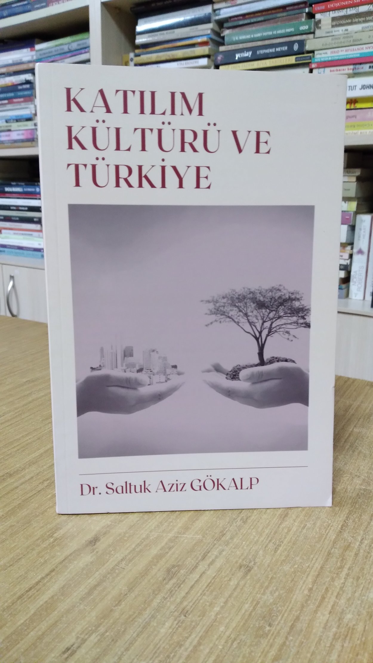 Katılım Kültürü ve Türkiye - Dr. Saltuk Aziz Gökalp