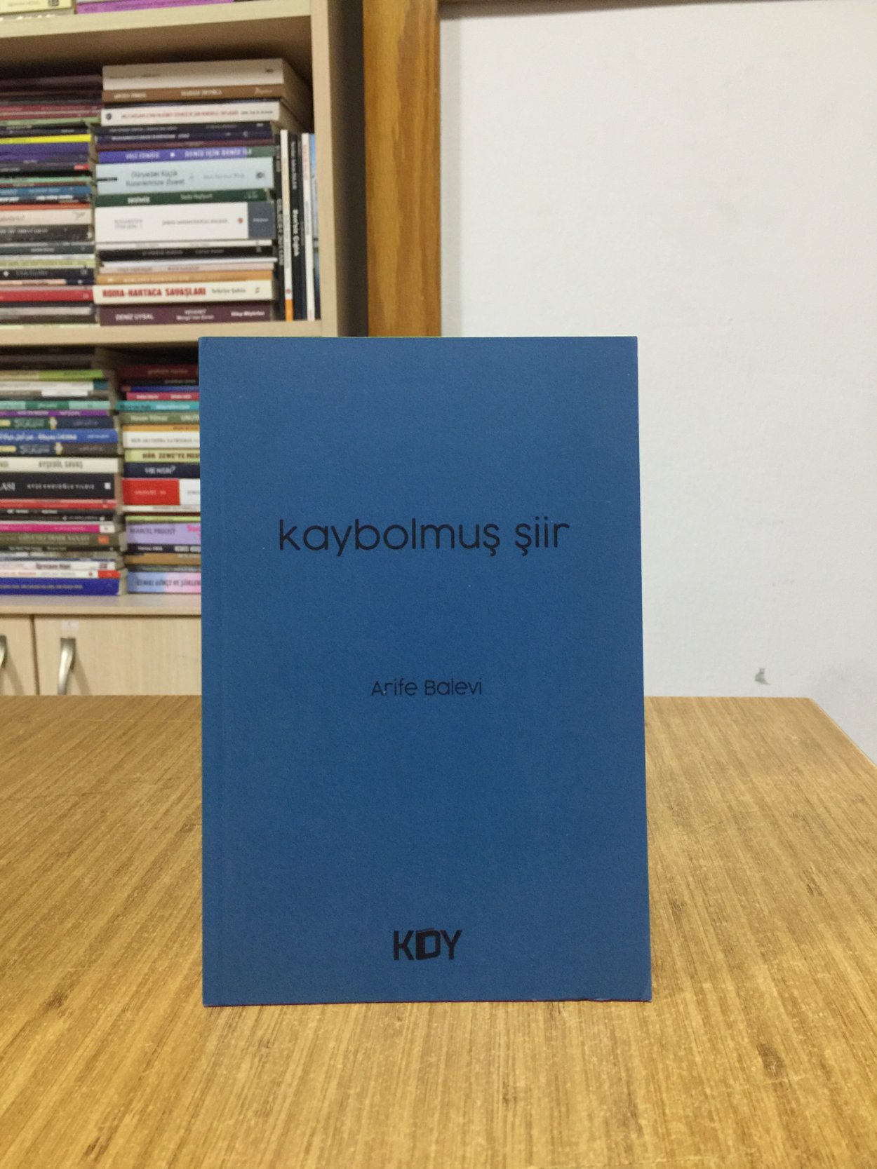 Kaybolmuş Şiir - Arife Balevi
