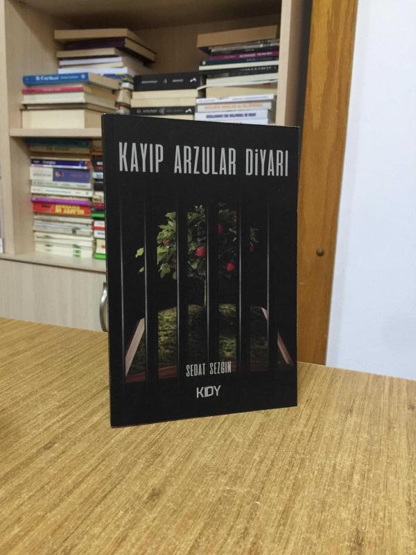 Kayıp Arzular Diyarı - Sedat Sezgin
