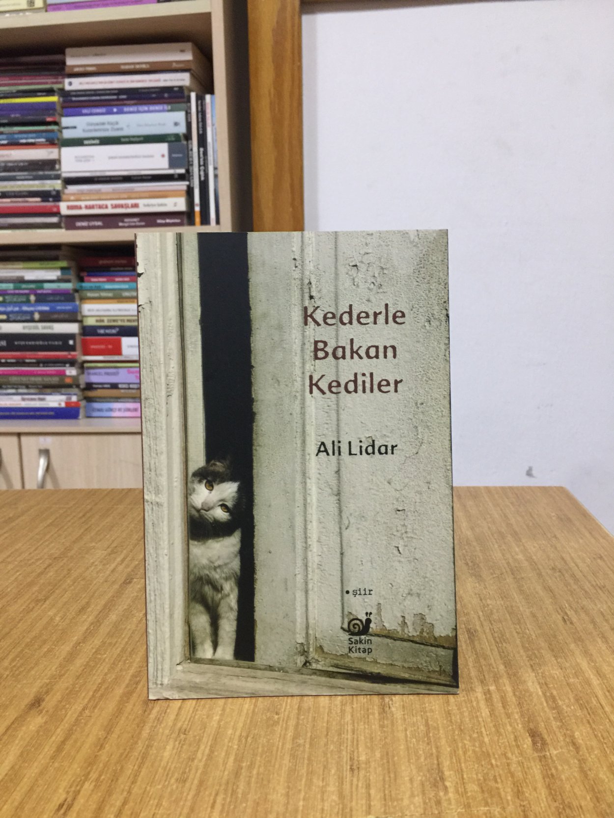 Kederle Bakan Kediler - Ali Lidar