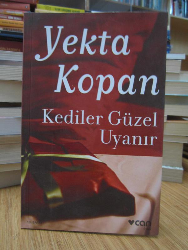 Kediler Güzel Uyanır