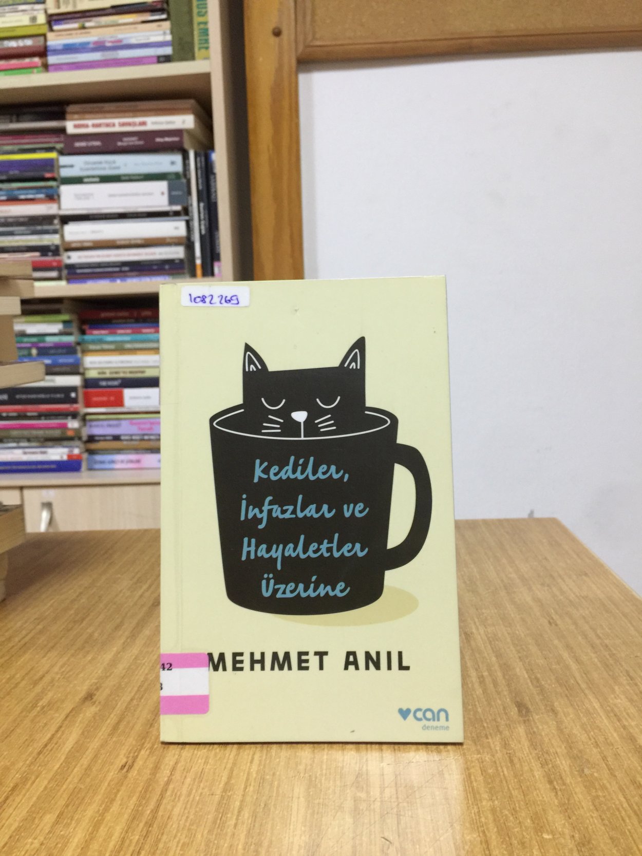 Kediler İnfazlar ve Hayaletler Üzerine - Mehmet Anıl