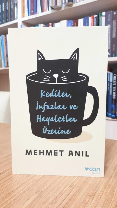 Kediler, İnfazlar ve Hayaletler Üzerine