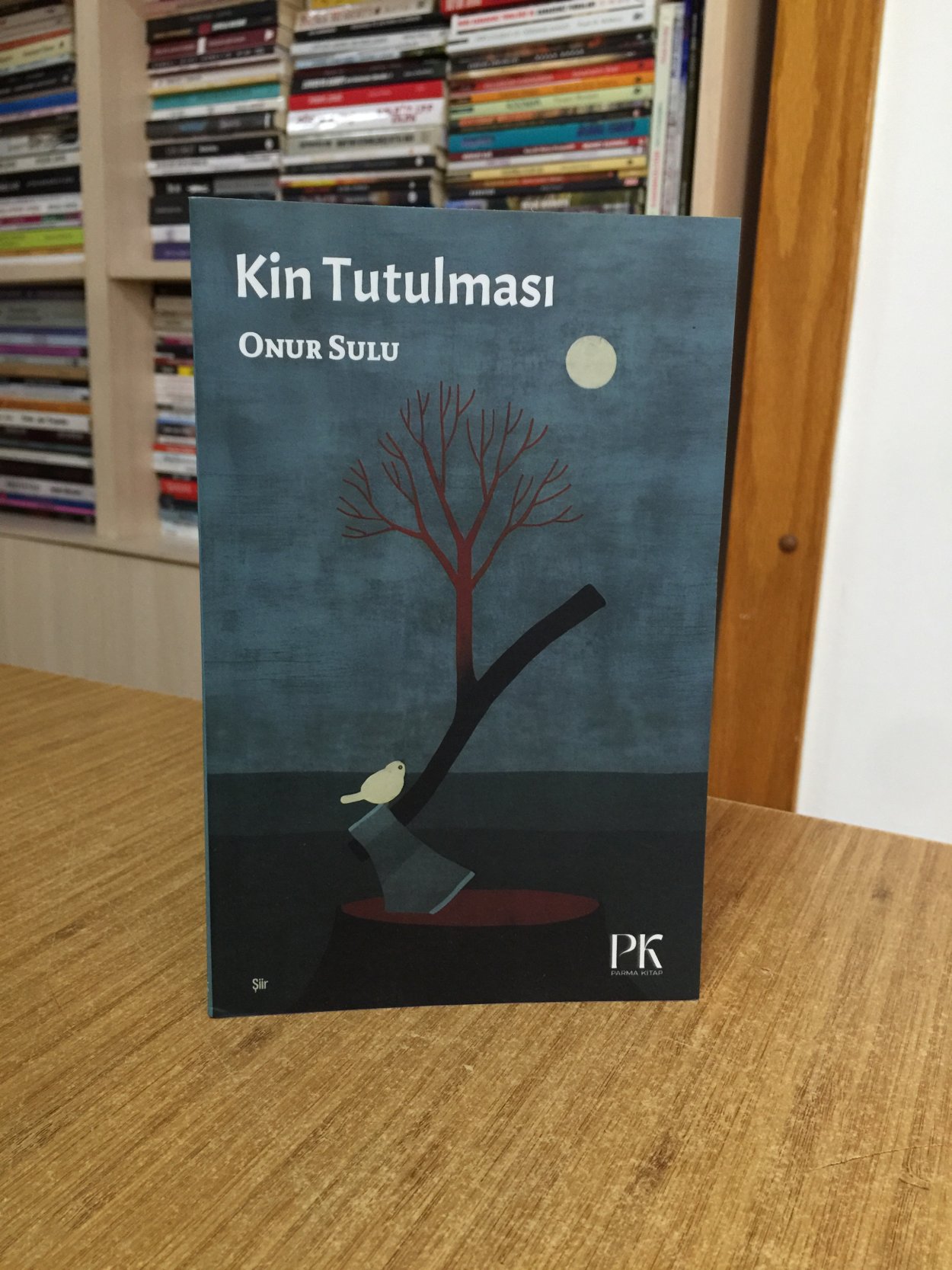 Kin Tutulması - Onur Sulu