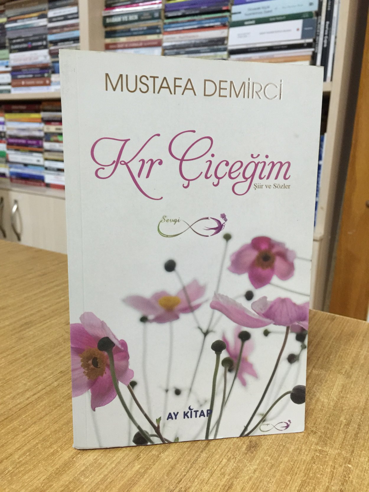 Kır Çiçeğim - Mustafa Demirci