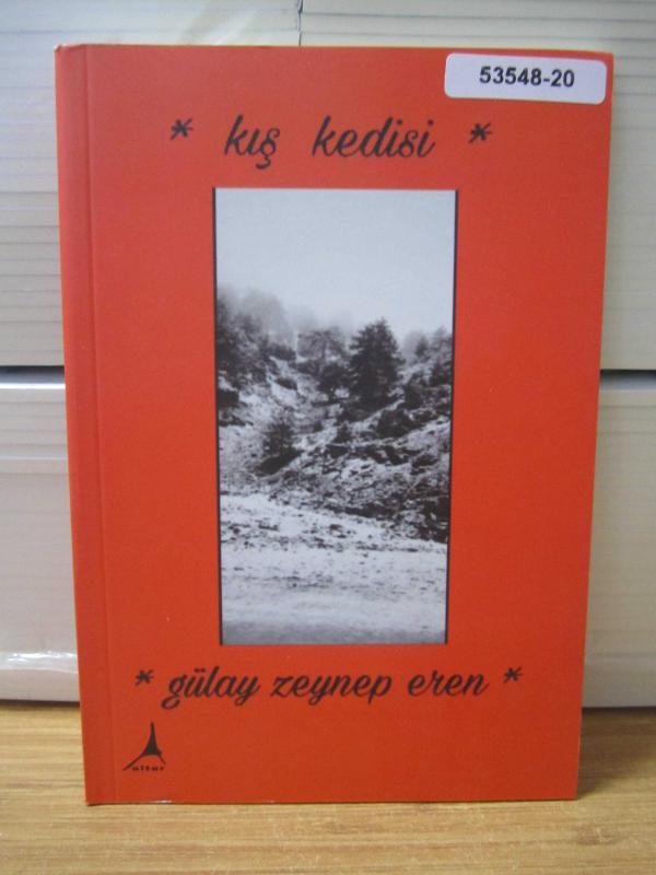 Kış Kedisi - Gülay Zeynep Eren