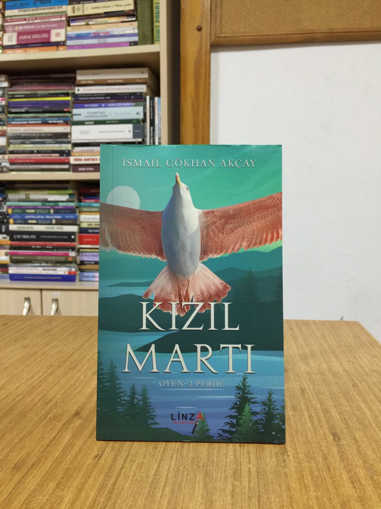 Kızıl Martı (Oyun - 2 Perde) - İsmail Gökhan Akçay